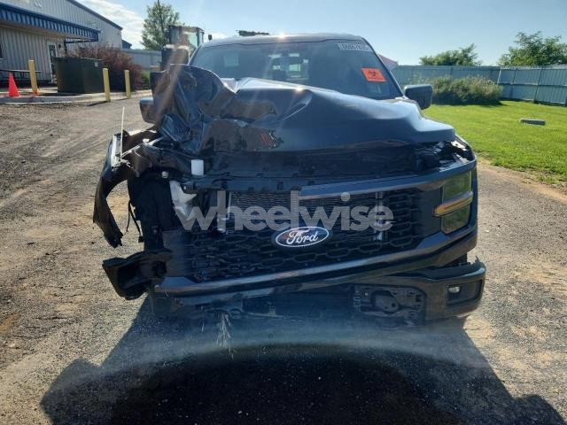 Photo 11 of 2024 FORD F150 STX N/A (VIN 1FTEW2LP0RFB08279)