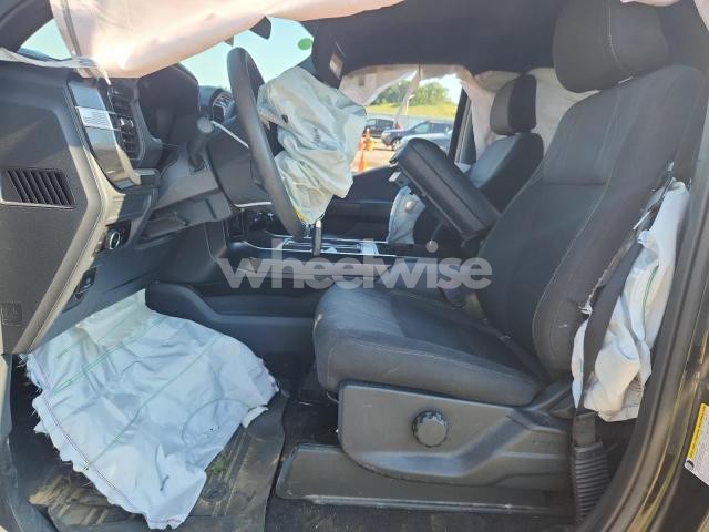 Photo 3 of 2024 FORD F150 STX N/A (VIN 1FTEW2LP0RFB08279)