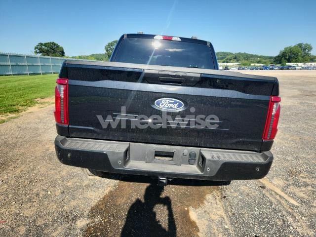 Photo 8 of 2024 FORD F150 STX N/A (VIN 1FTEW2LP0RFB08279)
