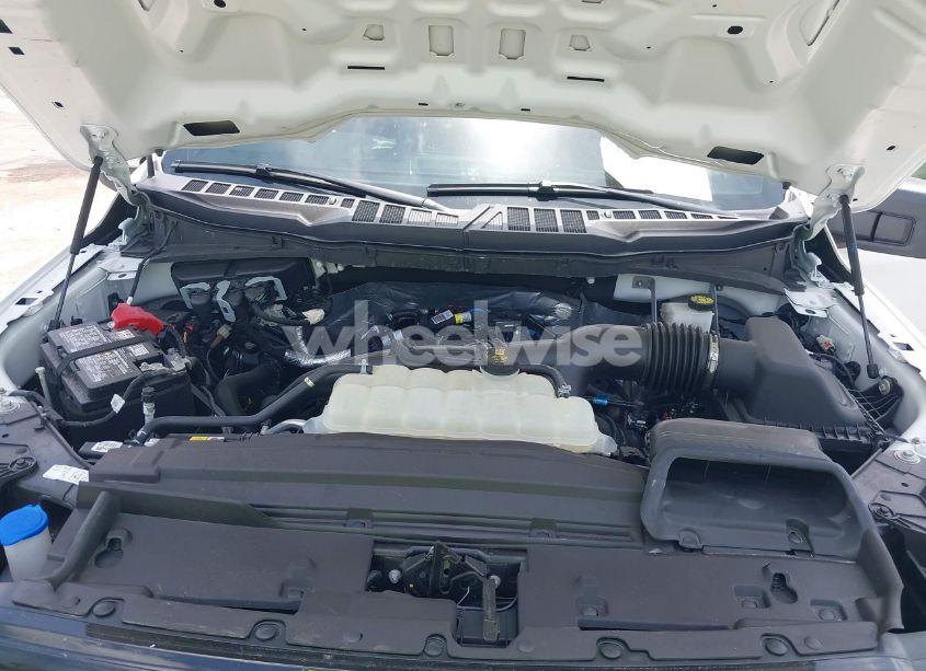 Photo 10 of 2024 Ford F-150 STX (VIN 1FTEW2LP9RKE30104)