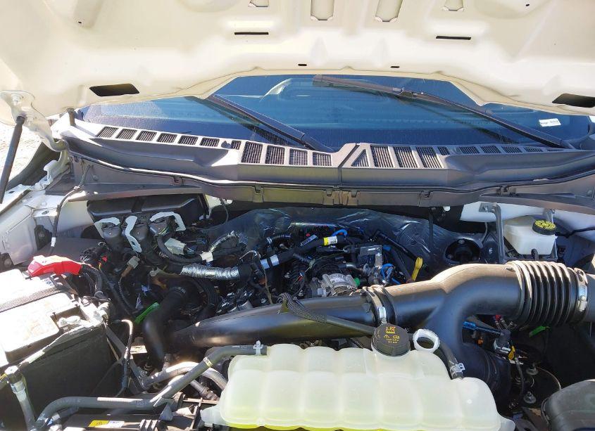 Photo 10 of 2024 Ford F-150 STX (VIN 1FTEW2LPXRFA61861)