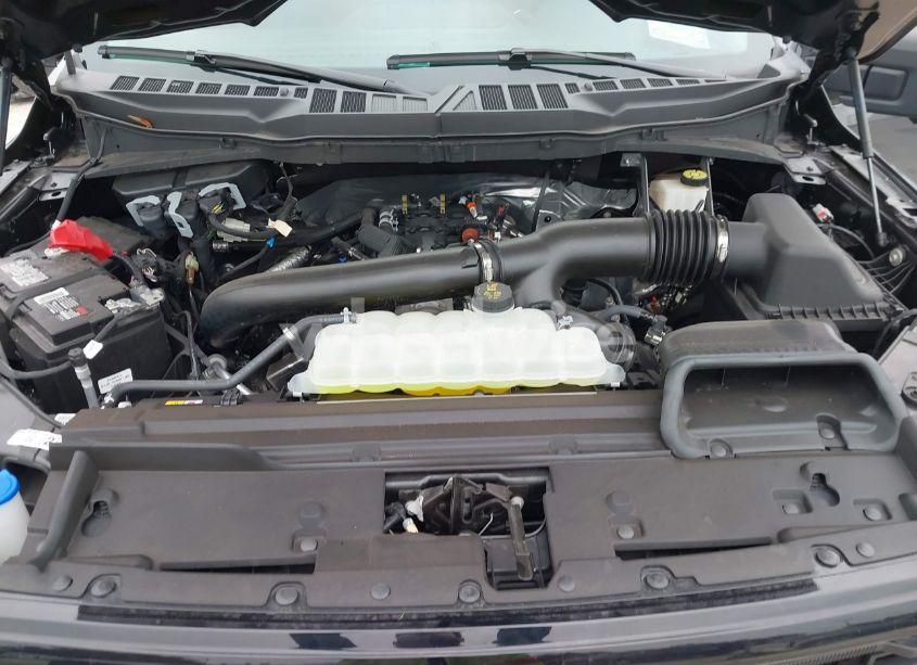 Photo 10 of 2024 Ford F-150 XLT (VIN 1FTEW3K85RKD73481)