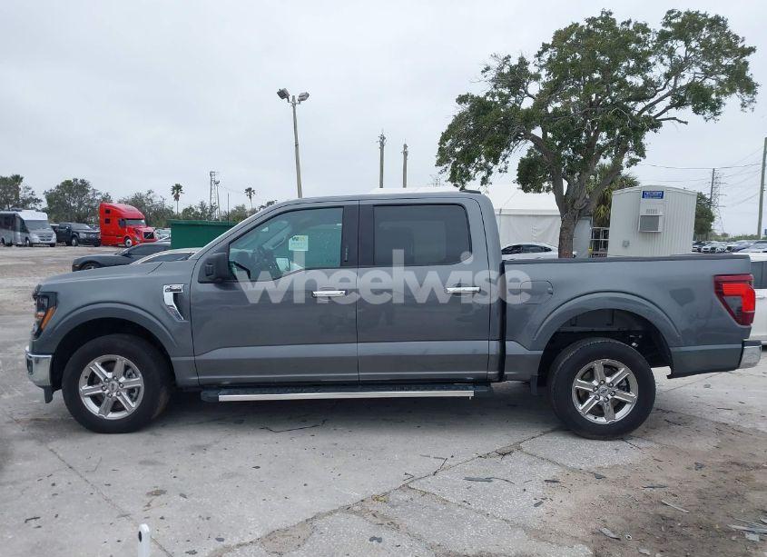 Photo 14 of 2024 Ford F-150 XLT (VIN 1FTEW3K85RKD73481)