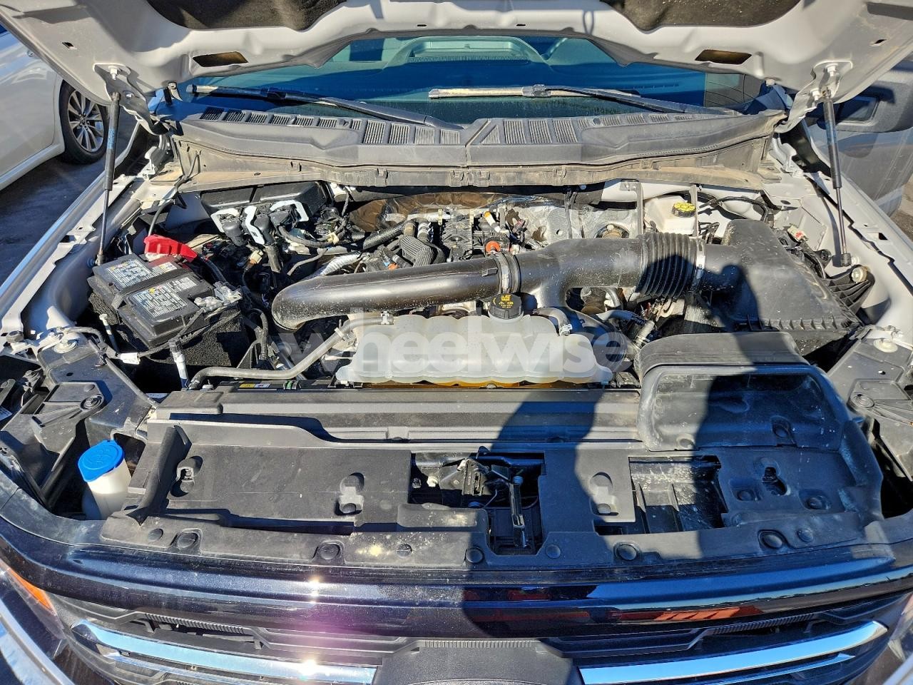 Photo 11 of 2025 FORD F150 XLT (VIN 1FTEW3K88SKD39847)