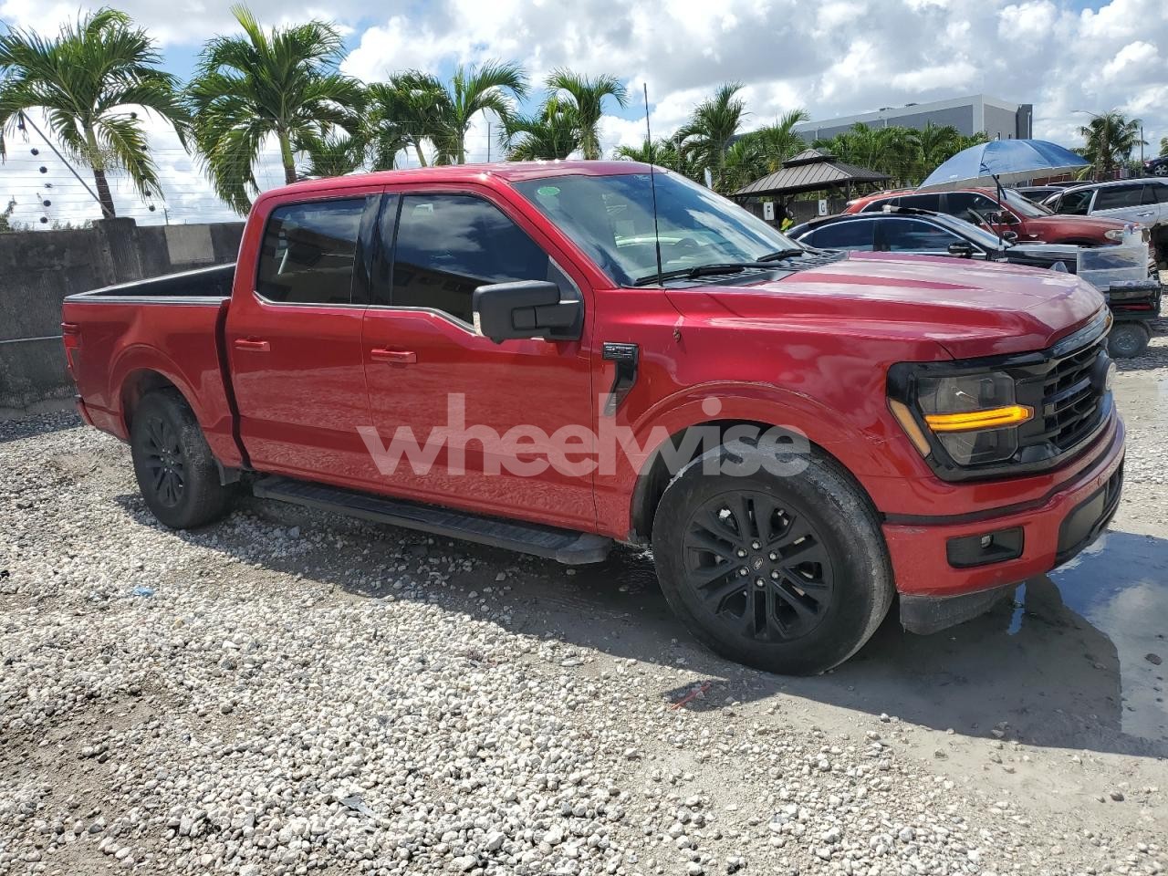 Photo 4 of 2024 FORD F150 XLT (VIN 1FTEW3KP0RFB00304)