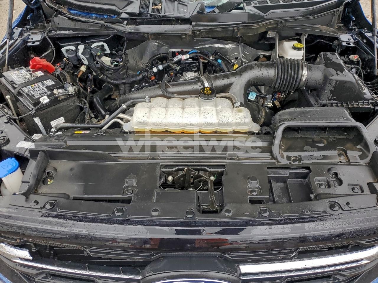 Photo 11 of 2025 FORD F150 XLT (VIN 1FTEW3KPXSKE30626)