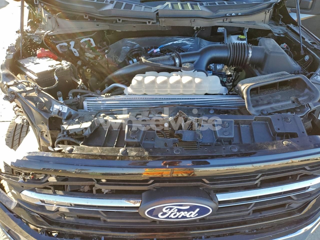 Photo 11 of 2025 FORD F150 XLT (VIN 1FTEW3KPXSKE63335)