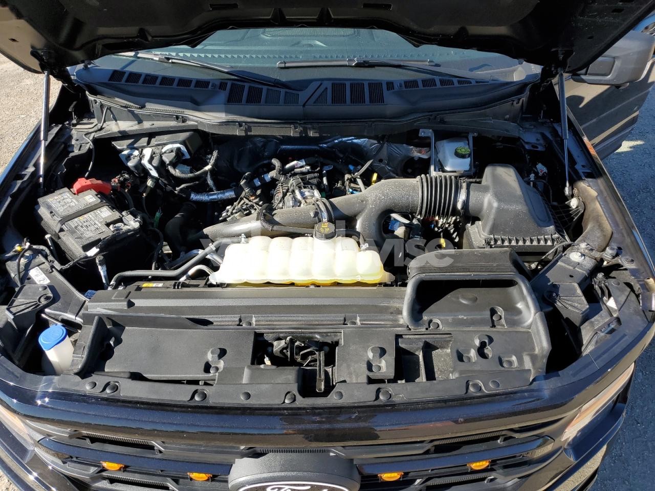 Photo 11 of 2025 FORD F150 XLT (VIN 1FTEW3LP2SFA84224)