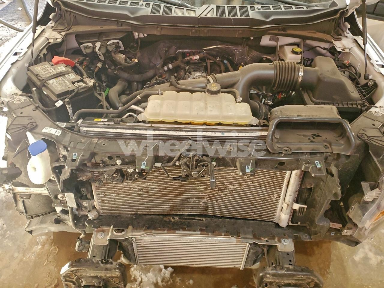 Photo 11 of 2025 FORD F150 XLT (VIN 1FTEW3LPXSKE07829)