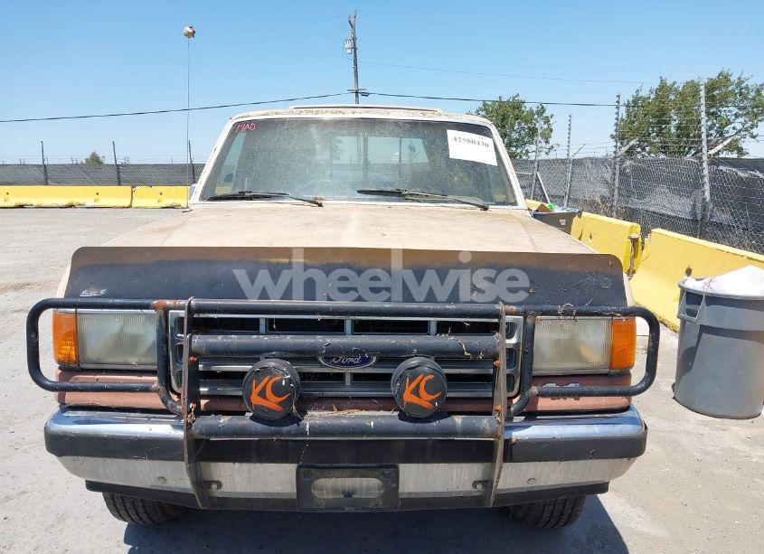 Photo 6 of 1988 Ford F150 (VIN 1FTEX14H1JKB08656)
