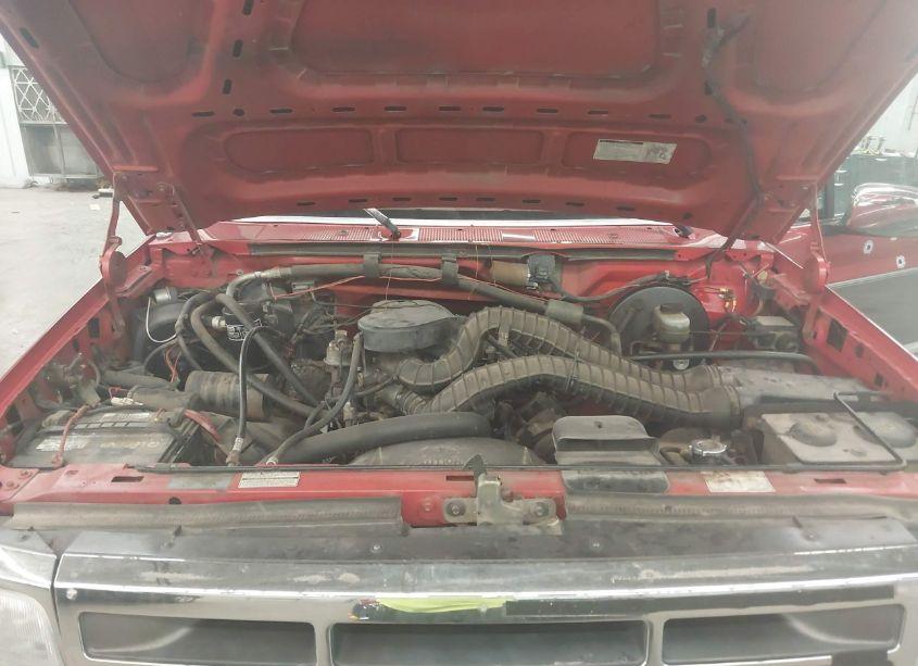 Photo 10 of 1993 Ford F150 N/A (VIN 1FTEX14N2PKA00366)