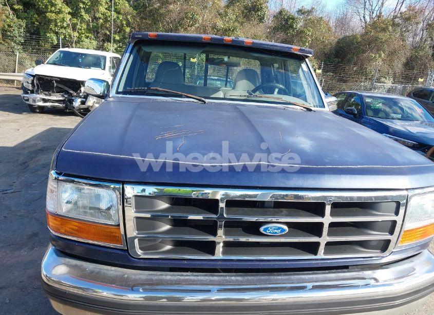 Photo 6 of 1995 Ford F150 N/A (VIN 1FTEX14N3SKB99551)