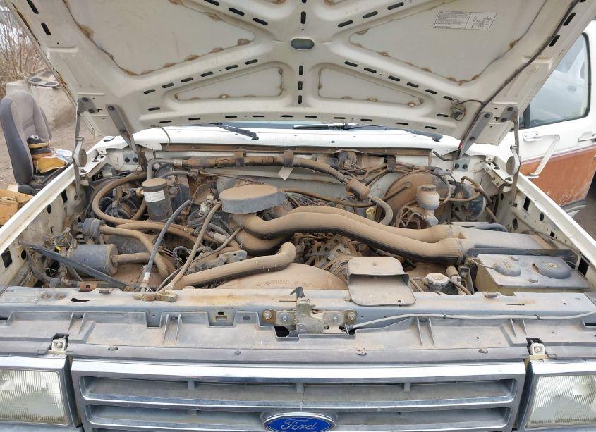 Photo 10 of 1990 Ford F150 N/A (VIN 1FTEX15H6LKA12491)