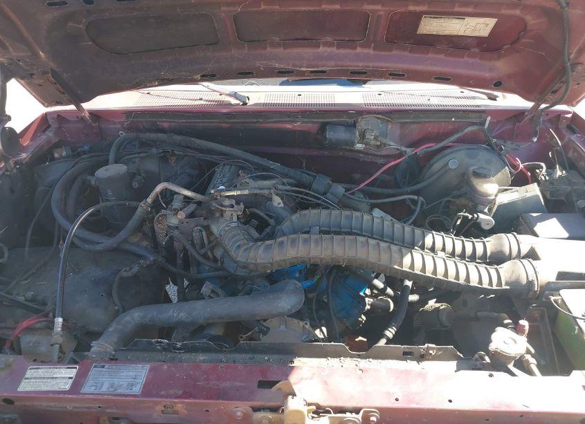 Photo 10 of 1993 Ford F150 N/A (VIN 1FTEX15H9PKB20321)