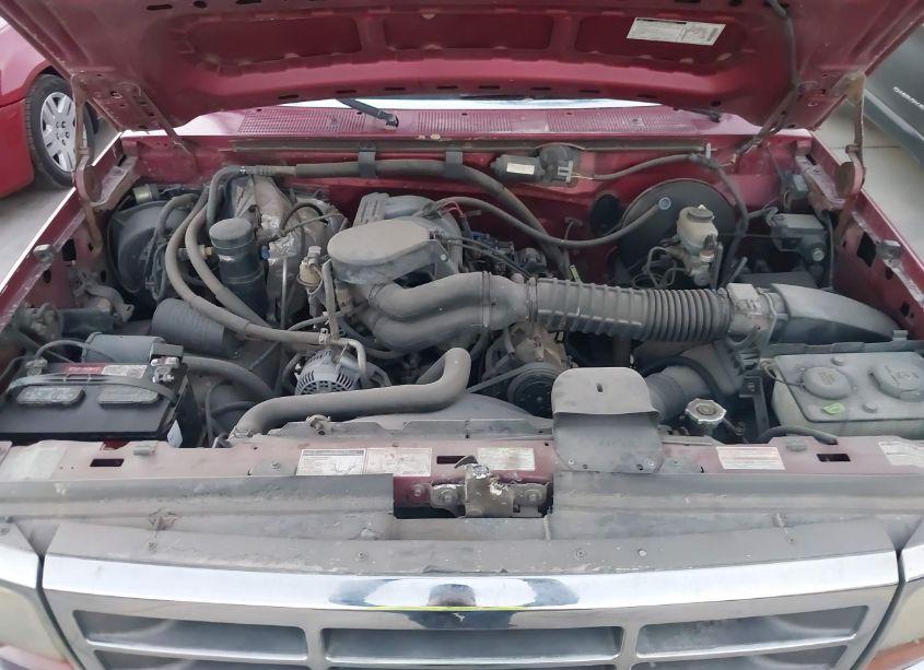 Photo 10 of 1995 Ford F150 N/A (VIN 1FTEX15N3SKB05649)