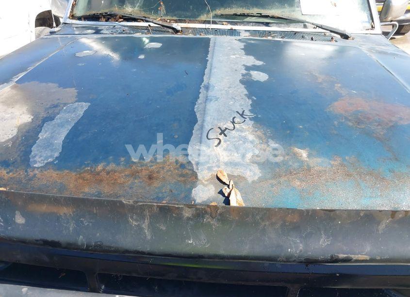 Photo 10 of 1995 Ford F150 (VIN 1FTEX15N4SKC22219)