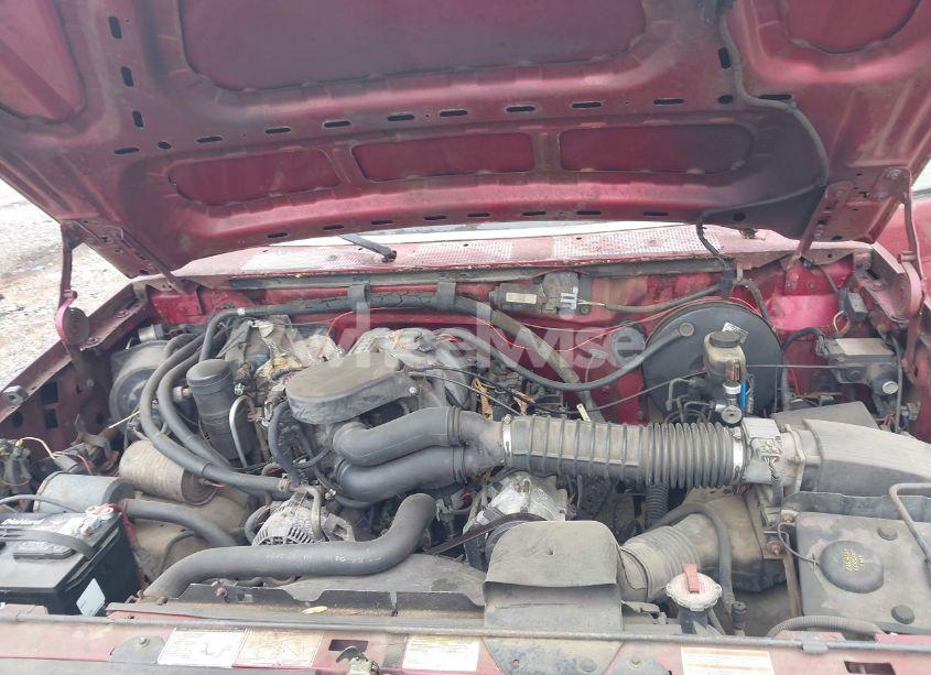 Photo 10 of 1995 Ford F150 (VIN 1FTEX15N7SKB70911)