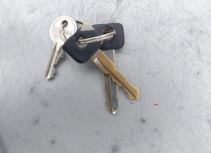 Photo 11 of 1996 Ford F150 (VIN 1FTEX15Y3TKA03229)