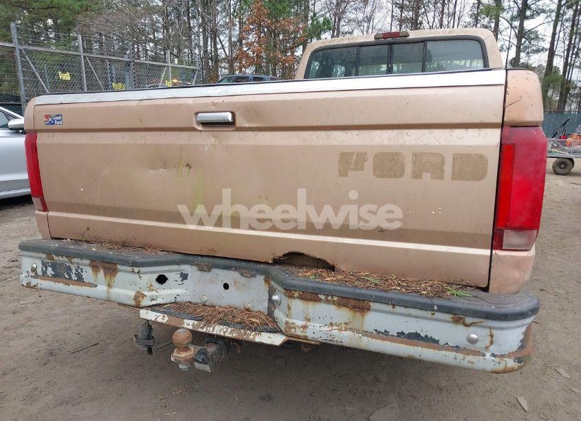 Photo 6 of 1995 Ford F150 N/A (VIN 1FTEX15Y5SKA64807)