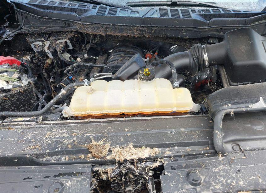 Photo 10 of 2021 Ford F-150 XLT (VIN 1FTEX1C57MKD48001)