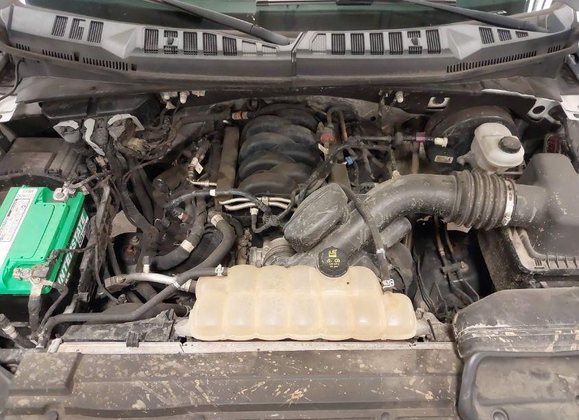 Photo 10 of 2018 Ford F-150 XLT (VIN 1FTEX1C5XJKE08770)