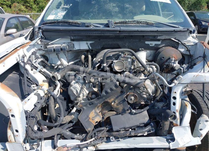 Photo 10 of 2010 Ford F-150 FX2 SPORT/STX/XL/XLT (VIN 1FTEX1C80AKE57132)