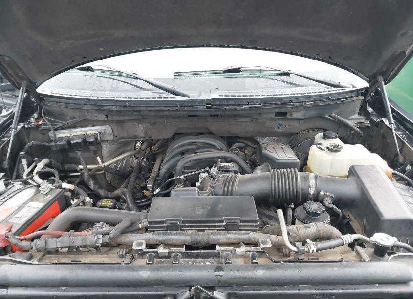 Photo 10 of 2010 Ford F-150 FX2 SPORT/STX/XL/XLT (VIN 1FTEX1C81AFA07692)