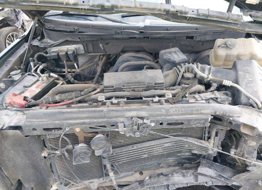 Photo 10 of 2010 Ford F-150 XLT (VIN 1FTEX1C82AFA50180)