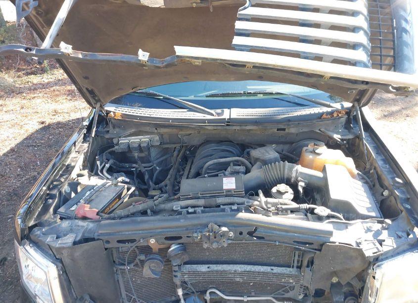 Photo 10 of 2010 Ford F-150 FX2 SPORT/STX/XL/XLT (VIN 1FTEX1C82AKE74529)