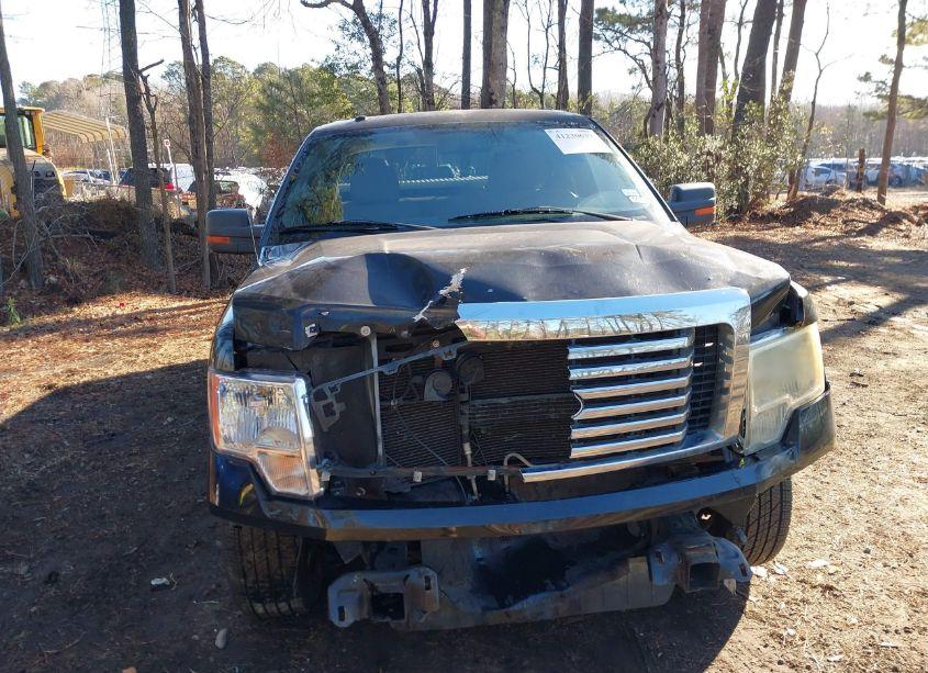 Photo 6 of 2010 Ford F-150 FX2 SPORT/STX/XL/XLT (VIN 1FTEX1C82AKE74529)