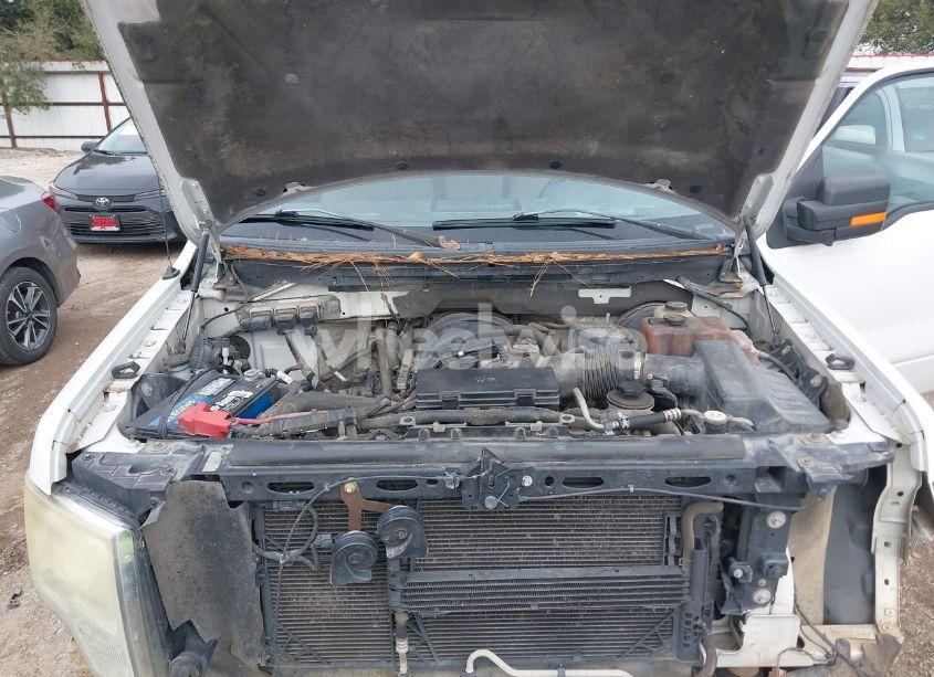 Photo 10 of 2010 Ford F-150 FX2 SPORT/STX/XL/XLT (VIN 1FTEX1C83AKE28479)