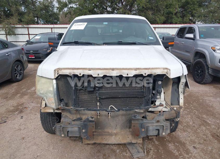 Photo 13 of 2010 Ford F-150 FX2 SPORT/STX/XL/XLT (VIN 1FTEX1C83AKE28479)