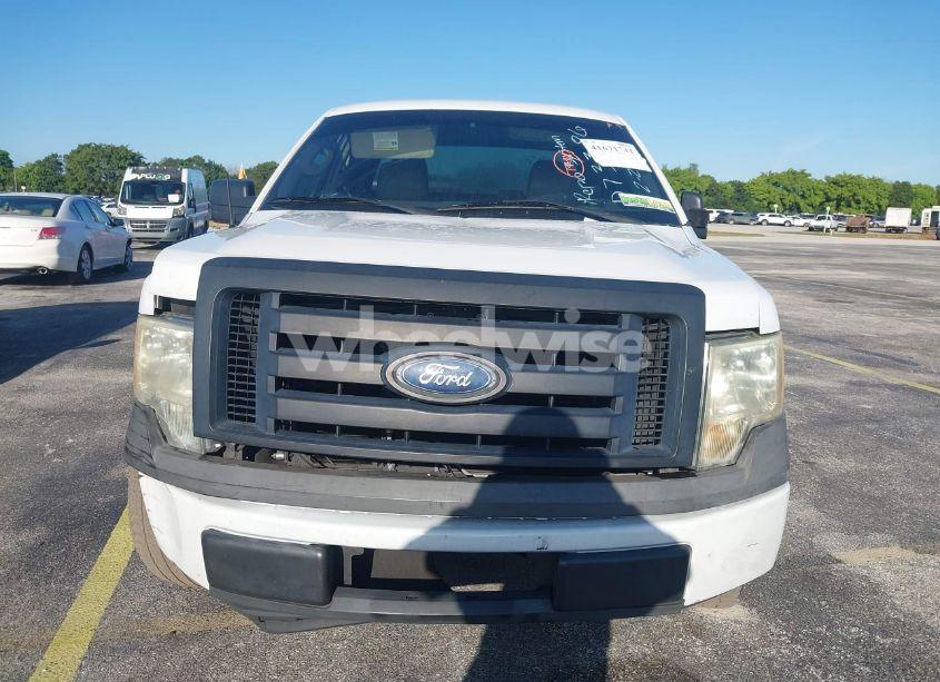 Photo 12 of 2010 Ford F-150 (VIN 1FTEX1C84AFD73386)