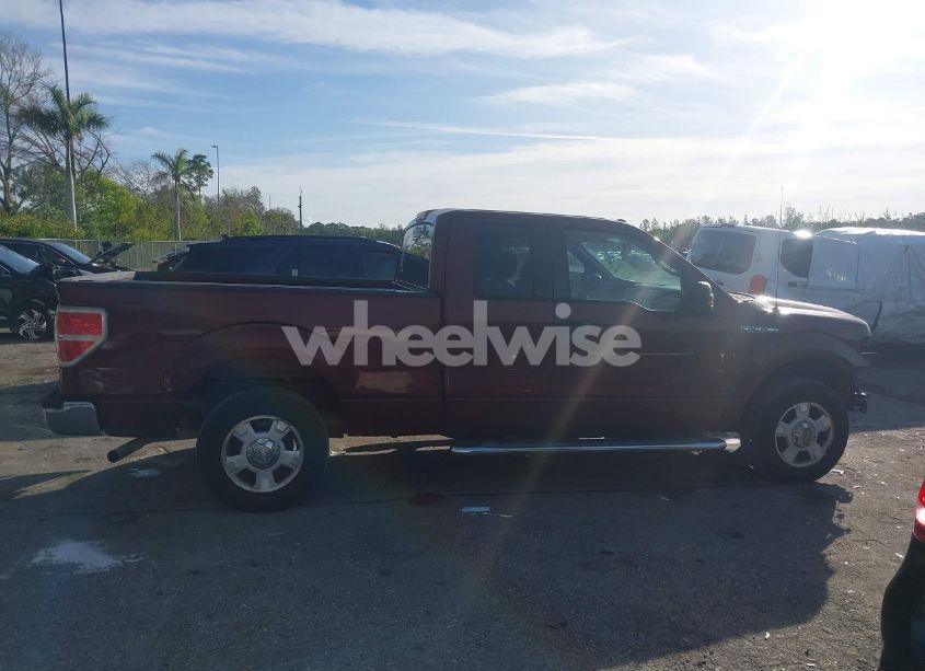 Photo 14 of 2010 Ford F-150 FX2 SPORT/STX/XL/XLT (VIN 1FTEX1C85AFB70149)