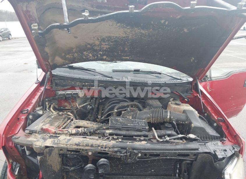 Photo 10 of 2010 Ford F-150 FX2 SPORT/STX/XL/XLT (VIN 1FTEX1C85AFB82799)