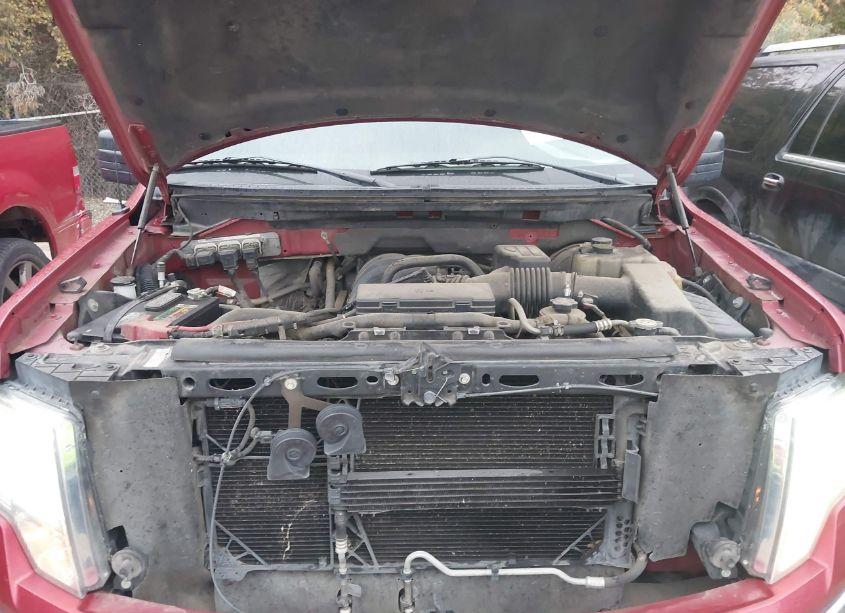 Photo 10 of 2010 Ford F-150 XLT (VIN 1FTEX1C85AKE14891)