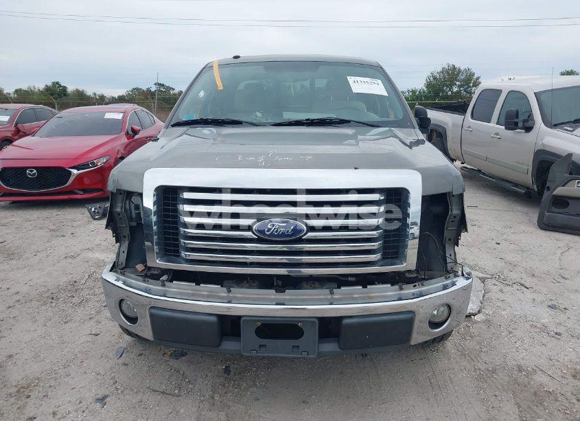 Photo 13 of 2010 Ford F-150 XLT (VIN 1FTEX1C87AFB84330)