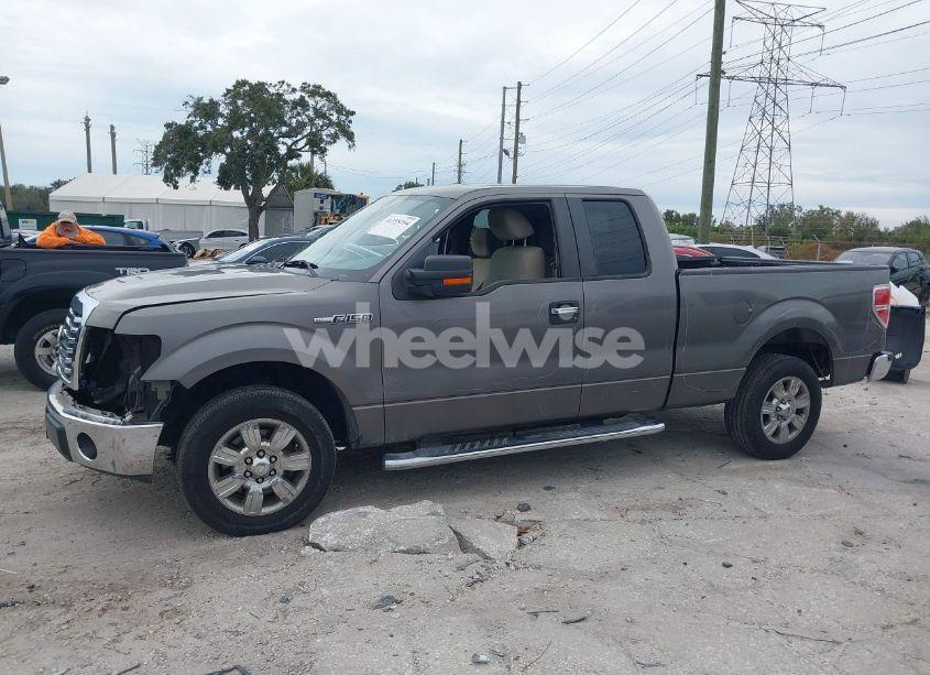 Photo 15 of 2010 Ford F-150 XLT (VIN 1FTEX1C87AFB84330)