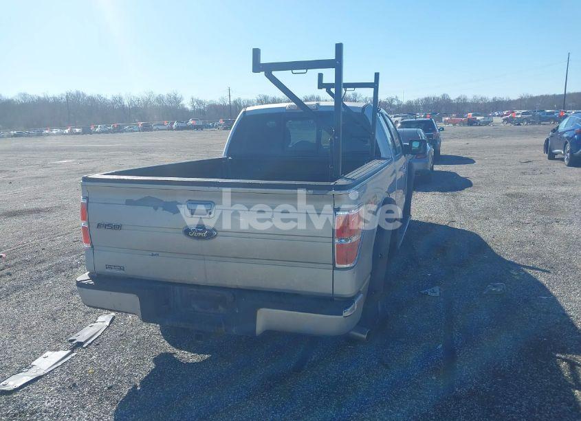 Photo 16 of 2010 Ford F-150 FX2 SPORT/STX/XL/XLT (VIN 1FTEX1C87AKE13953)