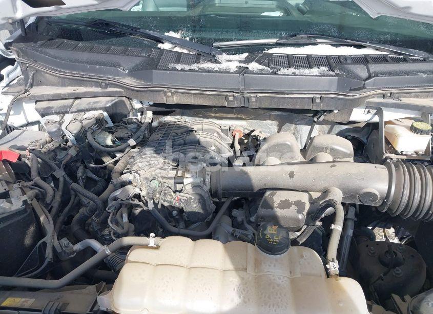 Photo 10 of 2023 Ford F-150 XL (VIN 1FTEX1CB0PKD82789)