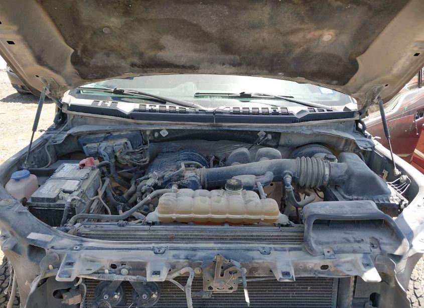 Photo 10 of 2019 Ford F-150 XLT (VIN 1FTEX1CB1KKD12372)