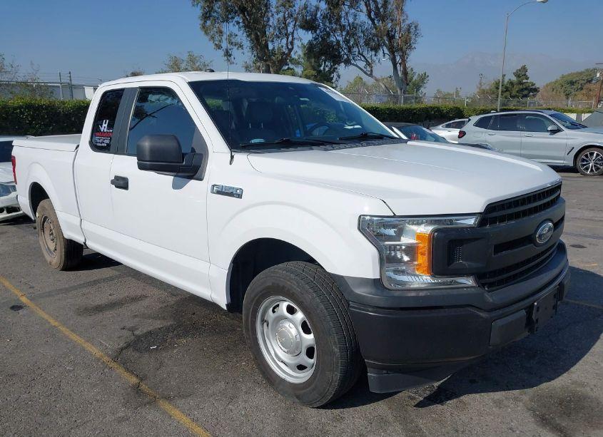 2019 Ford F-150 XL (VIN 1FTEX1CB1KKE95661) main photo