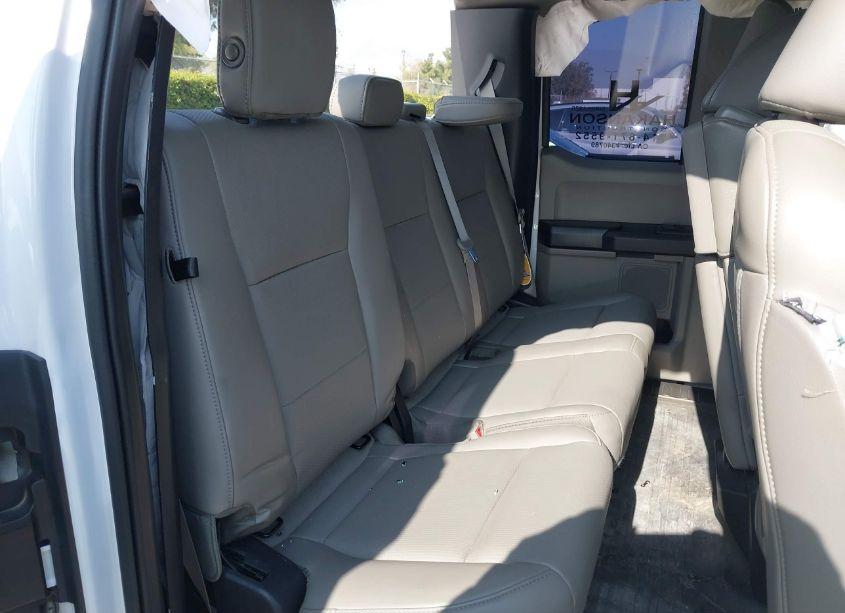 Photo 8 of 2019 Ford F-150 XL (VIN 1FTEX1CB1KKE95661)