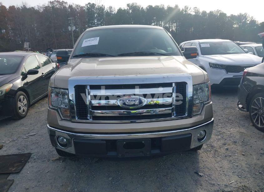 Photo 12 of 2011 Ford F-150 XLT (VIN 1FTEX1CM0BFC44124)