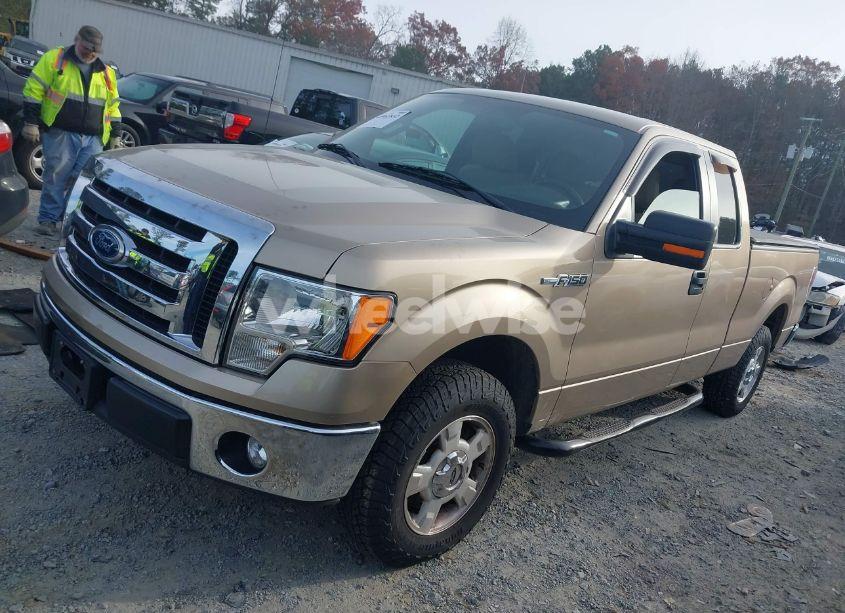 Photo 14 of 2011 Ford F-150 XLT (VIN 1FTEX1CM0BFC44124)