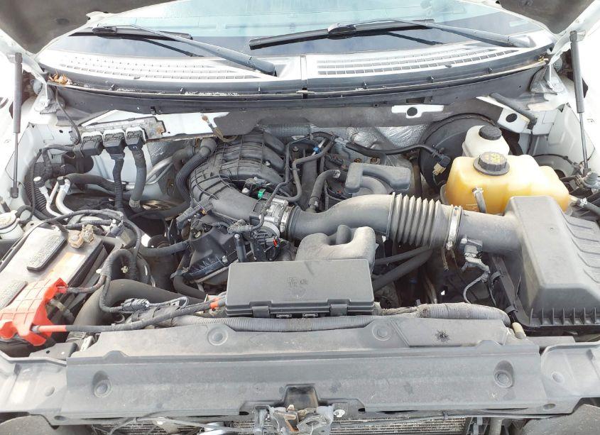 Photo 10 of 2011 Ford F-150 XLT (VIN 1FTEX1CM0BKD40410)