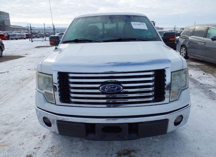 Photo 12 of 2011 Ford F-150 XLT (VIN 1FTEX1CM0BKD40410)
