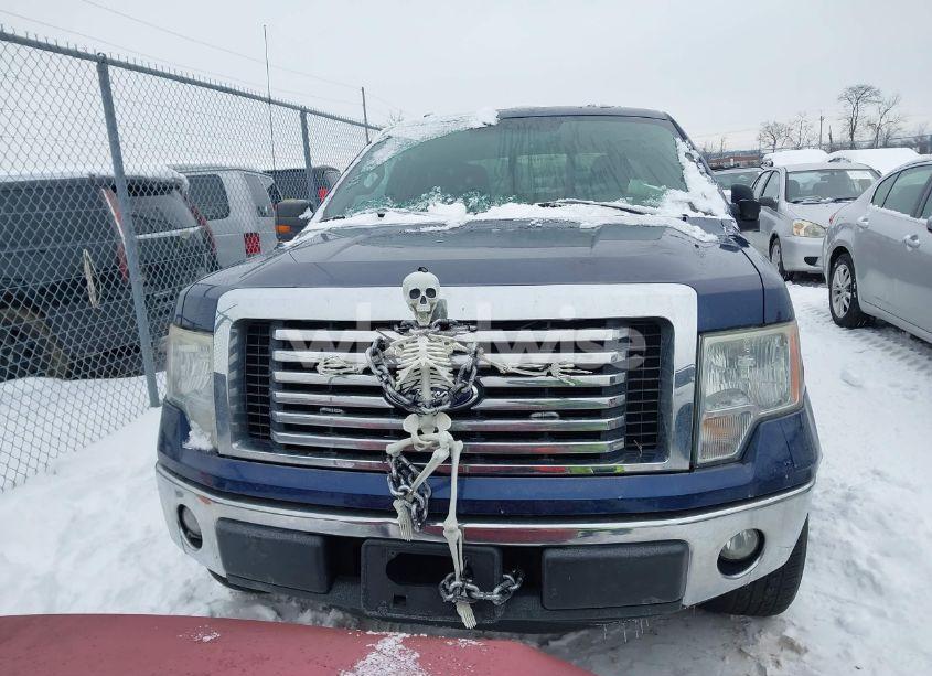 Photo 12 of 2012 Ford F-150 XLT (VIN 1FTEX1CM2CFA83230)