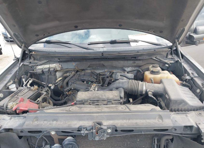 Photo 10 of 2012 Ford F-150 XLT (VIN 1FTEX1CM2CFC02457)