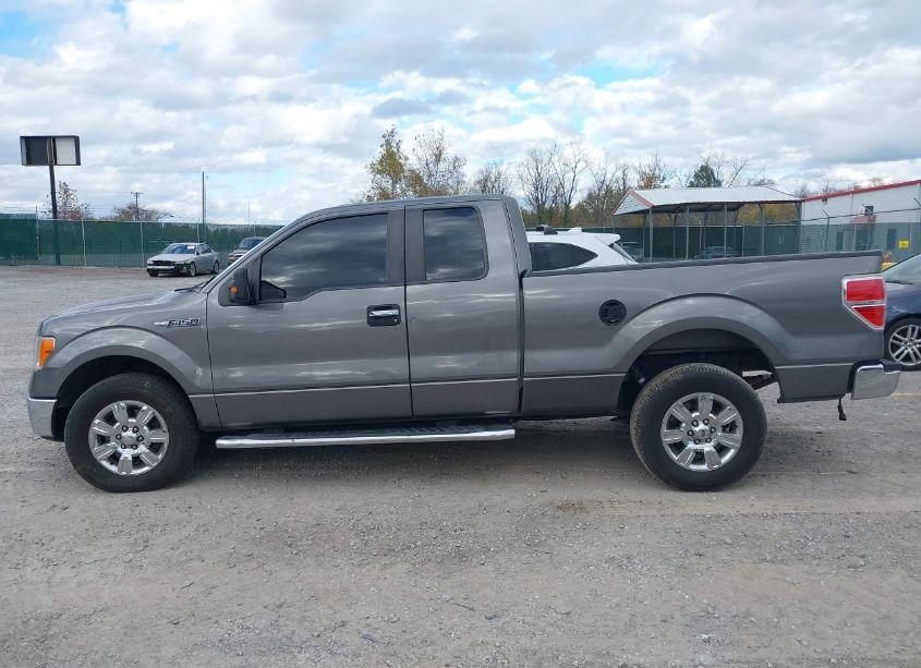 Photo 13 of 2012 Ford F-150 XLT (VIN 1FTEX1CM2CFC02457)